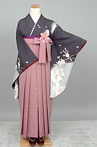 レンタル卒業袴の画像