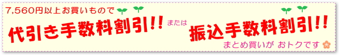 萔