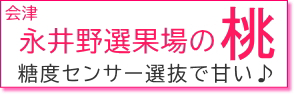 産地から直送。会津永井野選果場の桃。糖度センサー選抜で甘い